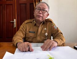 Ayam Potong dan Cabai Alami Kenaikan Harga, Tapi Stok Aman