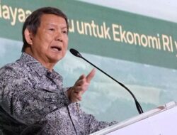 Hashim Sebut Makan Bergizi Gratis Sudah Dikenalkan Sejak Anies jadi Gubernur Jakarta