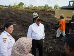 Mentan: Optimasi Lahan Sawah untuk Perkuat Swasembada Beras