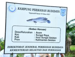 Wakil Bupati HSS Tinjau Kampung Haruan Desa Asam, Dorong Optimalisasi Potensi Perikanan Lokal