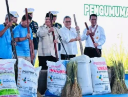 Seskab Teddy: Indonesia Capai Swasembada Pangan Lebih Cepat dari Target Presiden Prabowo