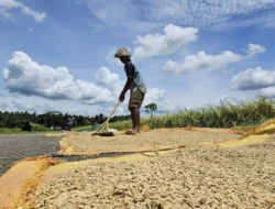 Indonesia Perkokoh Ketahanan Pangan di Tengah Ancaman Krisis Global