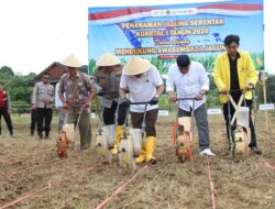 Polres HSS dan Pemkab Tanam Jagung Serentak, Perkuat Ketahanan Pangan Nasional