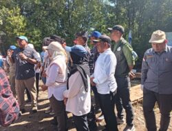 Wakil Ketua I DPRD Tanah Bumbu Hadiri Penanaman Ribuan Mangrove Bersama Pemkab di Muara Pagatan