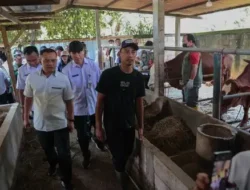 Gubernur Jateng Tinjau Layanan Kesehatan Hewan Keliling, Antisipasi Penyakit Jelang Iduladha