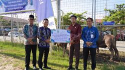 Pemkab Balangan Salurkan 24 Sapi Kurban Bantuan CSR Bank Kalsel untuk Masyarakat
