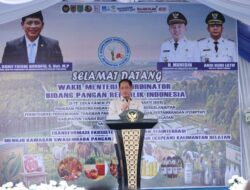 Bupati Tanah Bumbu Dukung KSPEAN, Wamenko Pangan Tinjau Integrasi Sawit–Sapi di Satui