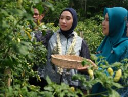 Ketua PKK HST Cek Program Kesejahteraan Keluarga di Dua Desa