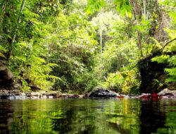 Jadi Destinasi Favorit, Sungai Wain Suguhkan Keindahan Alam Yang Asri