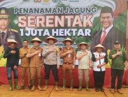 Penanaman Jagung Serentak 1 Juta Hektar Dimulai di Tanah Bumbu