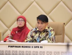 Pemerintah dan DPR Sepakat! Pengangkatan Pegawai Non-ASN Dimulai 2026
