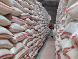 LPEM UI Apresiasi Satu Tahun Pemerintahan Prabowo: Produksi Beras Naik, Swasembada di Depan Mata