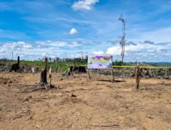 Kemenhut Kuasai Kembali 2.390 Hektare Areal Perambahan di Lanskap Seblat