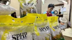 Bapanas Izinkan Bulog Gunakan Kemasan Lama untuk Percepat Distribusi Beras SPHP 2026