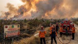 BPBD Himbau Warga Kalsel Waspada Karhutla di Musim Kemarau