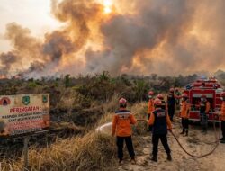 BPBD Himbau Warga Kalsel Waspada Karhutla di Musim Kemarau