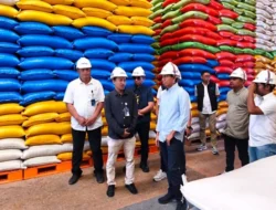 DPR Pastikan Stok Beras Bulog Kolaka Aman