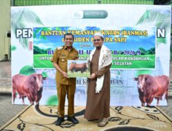 Bupati HSS Serahkan Sapi Kurban Bantuan Presiden Prabowo untuk Ponpes Dalam Pagar Kandangan