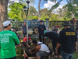 Wabup Balangan Sembelih Hewan Kurban, Daging Dibagikan untuk Kaum Dhuafa