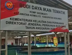 KKP Dukung Program MBG Lewat Budi Daya Nila Bioflok di Kebumen