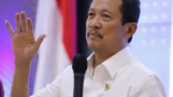 Tilapia Jadi Primadona Baru Ekspor Perikanan RI, Pasar AS dan Eropa Kian Terbuka