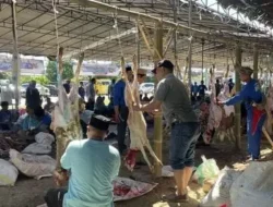 Serang Jadi Pilot Project Nasional Pengelolaan Hewan Kurban