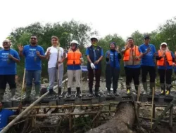 PIK2 Tanam 1.000 Mangrove di Pesisir Tangerang, Perkuat Perlindungan Lingkungan Pantai