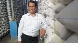 Stok Beras Nasional Melimpah, Amran Pastikan Tak Ada Kelangkaan di Pasar