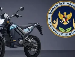 Komisi X DPR Dukung Hibah Motor Listrik untuk Guru Honorer, Minta Tak Terkait Kasus Hukum