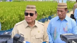 Prabowo Percepat Swasembada Gula, Pabrik Rafinasi Wajib Miliki Kebun Tebu Sendiri