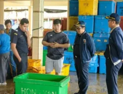 Bea Cukai Perkuat Pendampingan UMKM, Dorong Produk Daerah Tembus Pasar Ekspor