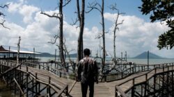 Bupati Andi Rudi Latif Dorong Wisata Mangrove Kersik Putih Jadi Destinasi Unggulan Tanah Bumbu