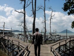 Bupati Andi Rudi Latif Dorong Wisata Mangrove Kersik Putih Jadi Destinasi Unggulan Tanah Bumbu