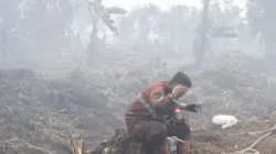 Karhutla Kepung Kalimantan, Kasus ISPA di Kalbar Tembus 165 Ribu