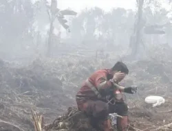 Karhutla Kepung Kalimantan, Kasus ISPA di Kalbar Tembus 165 Ribu