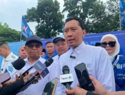 Ibas Desak Pemerintah Usut Penyebab Karhutla di Kalimantan