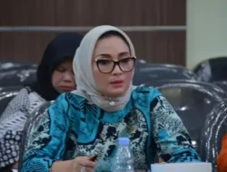 DPR Soroti TPPO Modus Pengantin Pesanan ke China