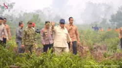 Prabowo Tinjau Karhutla Kalbar, BNPB Laporkan 198 Titik Api Berstatus Tinggi