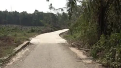 Bupati Tabalong Tinjau Jalan Penghubung ke Balangan, Dorong Konektivitas dan Ekonomi Warga