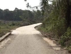 Bupati Tabalong Tinjau Jalan Penghubung ke Balangan, Dorong Konektivitas dan Ekonomi Warga
