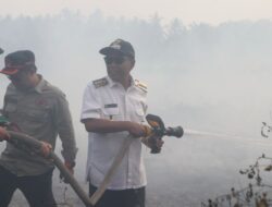 Bupati HSS Tinjau Penanganan Karhutla di Dua Lokasi, Apresiasi Gotong Royong Warga