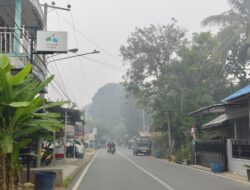 Dinkes Balangan Catat 10.637 Kasus ISPA, Naik 30 Persen Saat Kabut Asap Menyelimuti Daerah