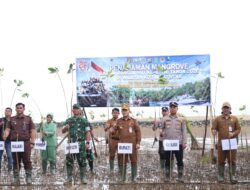 1.000 Mangrove Ditanam di Muara Pagatan, Bupati Tanah Bumbu Dorong Pelestarian Pesisir