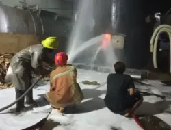 Pabrik Mebel Milik Keluarga Jokowi di Sragen Terbakar, Api Muncul dari Mesin Boiler