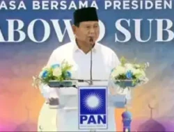 Pengamat Sebut PAN hingga NasDem Masih Dukung Prabowo di Pilpres 2029