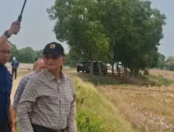 Menteri PU Sidak Sawah Kekeringan, Dody Soroti Laporan Anak Buah