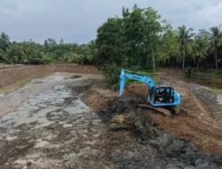 KKP Pulihkan 5.800 Hektare Tambak Pascabencana, Ribuan Petambak Kembali Bekerja