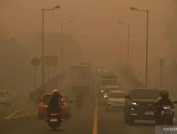 Rina Sa’adah Desak Pemerintah Kerahkan Seluruh Kekuatan Tangani Karhutla