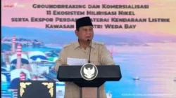 Rp180 Triliun Digelontorkan, Prabowo Pacu Hilirisasi di IWIP